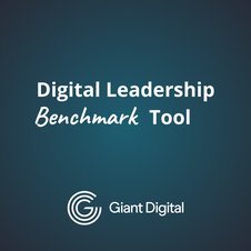 Digital Leadership Benchmark Tool Thumbnail