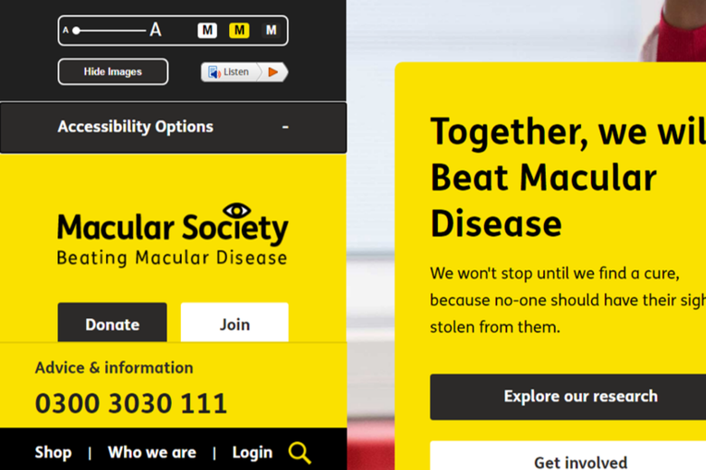 Accessibility options on charity web design