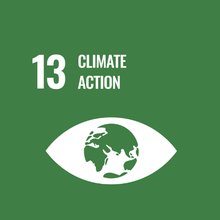 UN Sustainable Development Goal 13 icon showing an eye with the Earth inside, representing climate action.