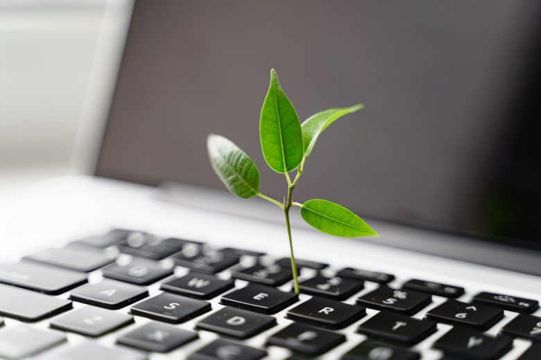a plant shoot growing out of a laptop keyboard signifying consideration for the environment