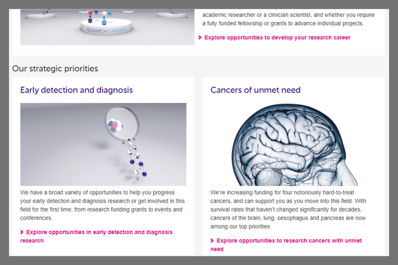 an example of how descriptive text is used on the Cancer Research website