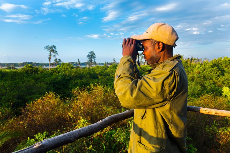 African ranger looking across nature reserve with binoculars