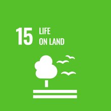 UN Sustainable Development Goal 15 icon showing a tree and birds, representing life on land and biodiversity protection.