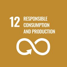UN Sustainable Development Goal 12 icon showing an infinity loop arrow, representing responsible consumption and production.