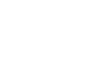 Walking With The Wounded